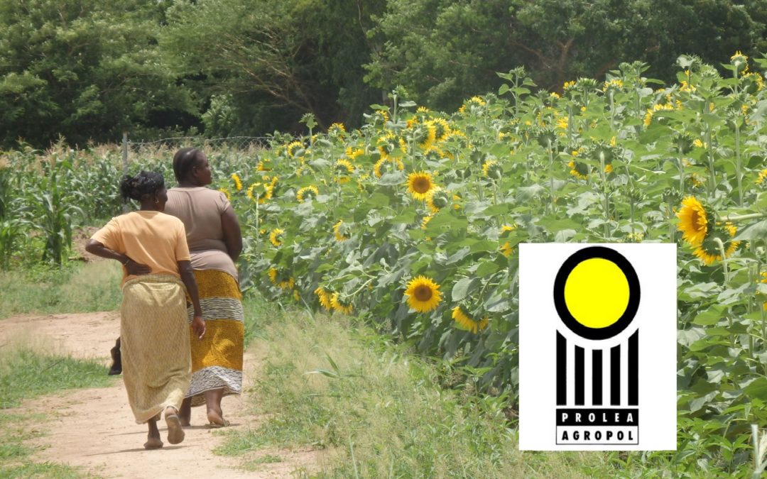 Humanitalents recrute pour le compte de AGROPOL un.e Responsable de Programme Afrique